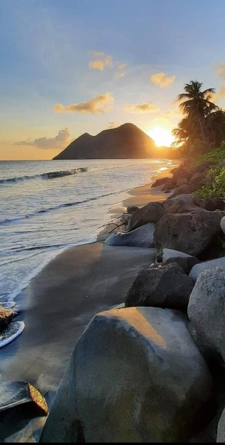Ti'Bakoua A Sainte-Luce Plage Et Piscine Ngoại thất bức ảnh