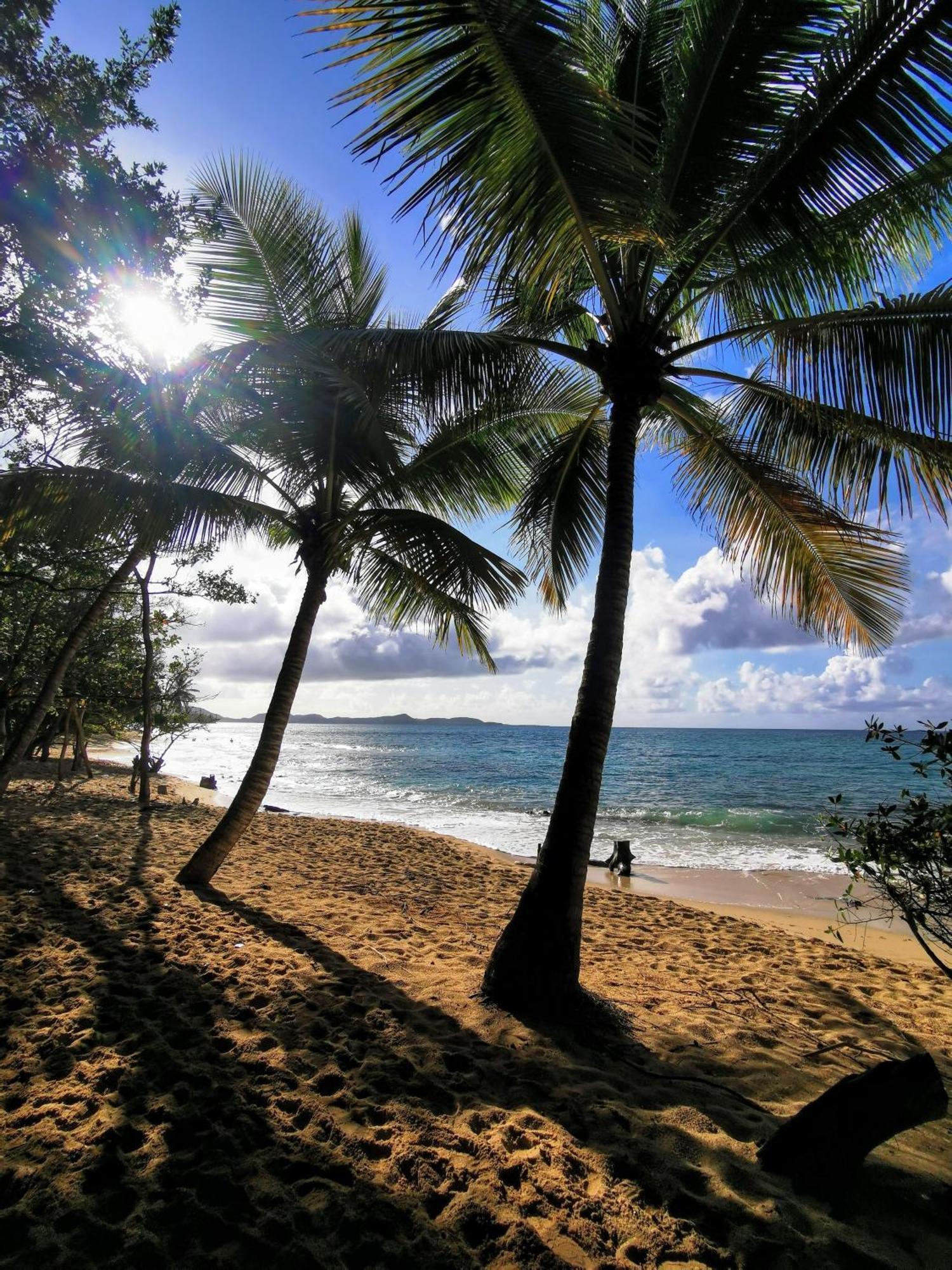 Ti'Bakoua A Sainte-Luce Plage Et Piscine Ngoại thất bức ảnh